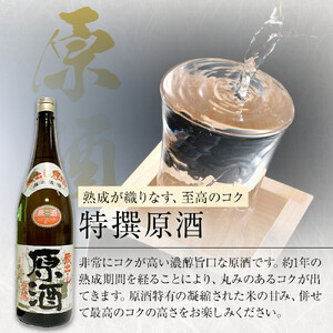 寳娘　純米原酒・特撰原酒　のみくらべ　2本セット