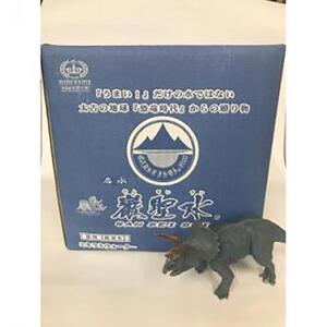 ミネラルウォーター巌聖水6500(がんせいすい6500)　(10L×2ケース入り)