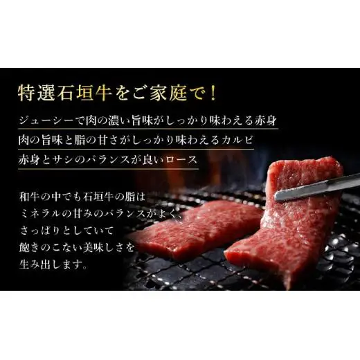 赤身（モモ、ランプ）とカルビとロース　よくばり焼肉食べ比べセット合計600g&石垣牛 MARU秘伝の焼肉タレ100ml×1本  IM-45