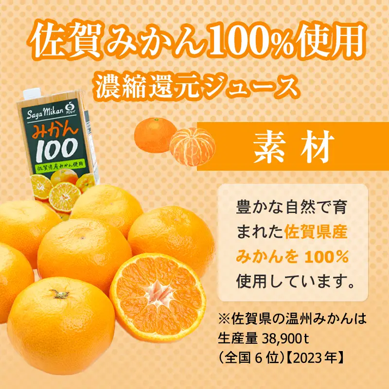 佐賀県産みかん使用 みかん100（ 紙パック 1L×6本） ジュース B110-044