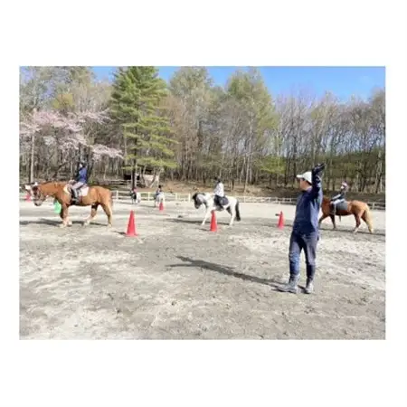 乗馬体験【レッスン1回コース】_旅行券・チケット  体験チケット _【1602396】