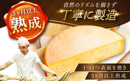 ＼TVで話題／北海道 スパイスラクレット 1/2ホール（2.5kg）《足寄町》【しあわせチーズ工房】 [BEAK033]