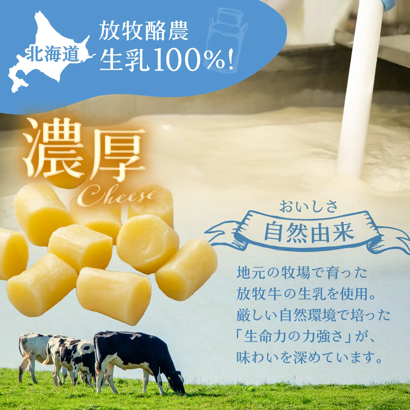 北海道 あしょろ チーズ 工房3点セット【足寄町/合同会社あしょろチーズ工房】[BEAU008]