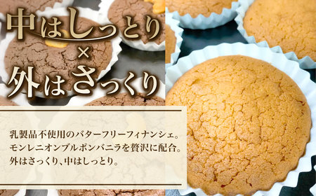 米粉のバターフリーフィナンシェ10個セット (約50g×10) ふるさと納税 福知山市 フィナンシェ グルテンフリー スイーツ バターフリー 米粉 セット 【fc-AA007】【ニコリナ】