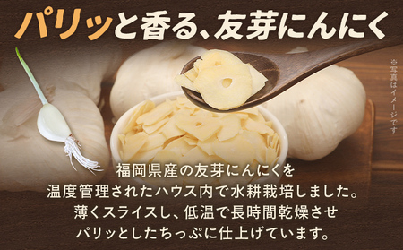 にんにく チップ 友芽にんにく 20g メール便 ポスト投函 