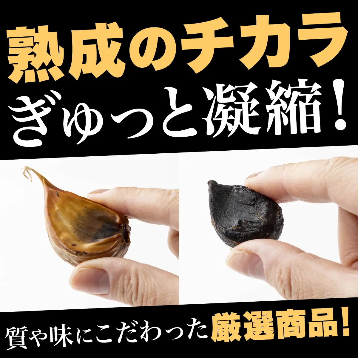 ⿊にんにく 500g×1パック 【国産 にんにく 新鮮 野菜 長期保存 健康 贈り物 ギフト 東北 青森県 七戸町 送料無料】【02402-0386】
