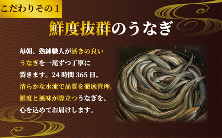 国産鰻の鰻蒲焼き 3枚 定期便6回