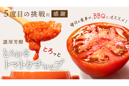 トマト塩糀 トマトBBQソース トマトケチャップ トマトジュース 4種詰め合わせセット 各1個 [ヨダファーム 山梨県 中央市 21471029] セット 詰め合わせ ソース タレ たれ 調味料 ケチャップ とまと トマト トマトソース 野菜ジュース