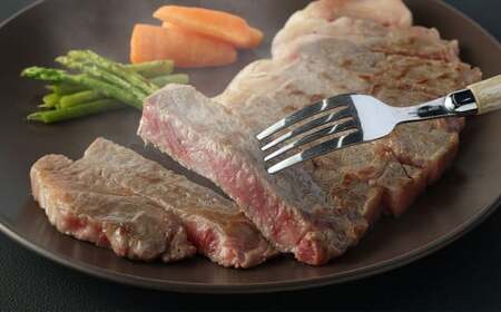 長崎和牛 サーロイン ステーキ 4枚 約800g 和牛 牛肉