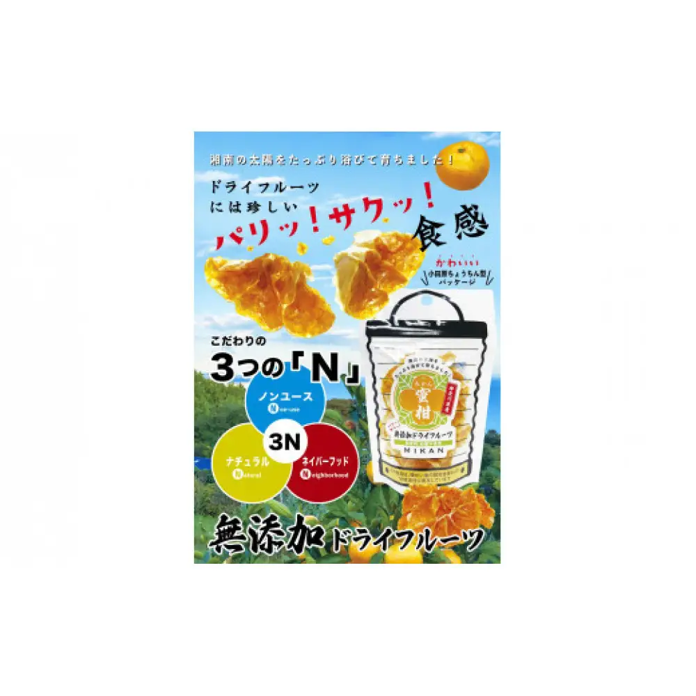 無添加ドライフルーツ(みかん)20g×2袋入【 神奈川県小田原市 ドライフルーツ ドライフルーツ】