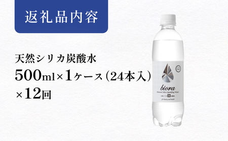biora天然シリカ炭酸水 500ml×24本×12回 炭酸水 シリカ ミネラル 美容 飲料水 軟水 天然水 大分県 玖珠町 健康 九州 採水 防災 備蓄 定期便 500ml 72mg/l 硬度43.1 健康志向 酸素 吸収 継続 サプリメント