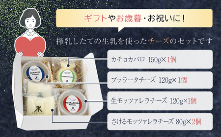 小江戸佐原 チーズセット /  / チーズ セット おつまみ 晩酌 モッツァレラチーズ ブッラータチーズ さけるモッツァレラチーズ カチョカバロ INO002