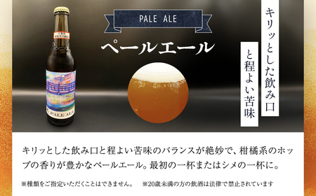 小江戸佐原　クラフトビール6本セット// ビール クラフトビール セット おつまみ 晩酌 ペールエール ニューイングランドIPA ホワイト ブラック INO003