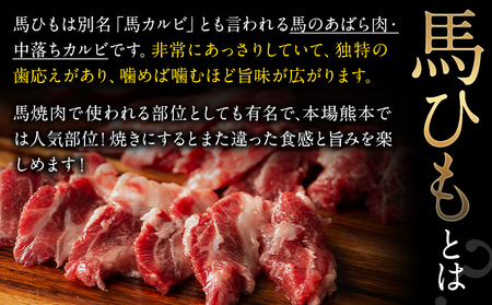 馬ひも 馬刺し用 320g(80g×4袋) 《30日以内に出荷予定(土日祝除く)》 熊本県 菊池市 肉 馬ひも 馬肉