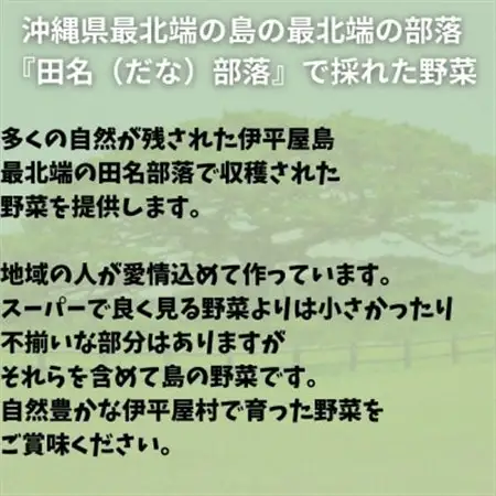 島で採れた新鮮野菜詰め合わせセット(4～6品目)【配送不可地域：離島】【1606515】