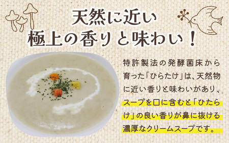 灰猫のひらたけクリームスープ 5箱 | 国産 食物繊維 ひらたけ 平茸 クリーム 濃厚