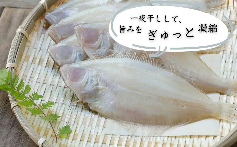 【津乃弥】一夜干しかれいセット(5枚)［ 京都 錦市場 海鮮珍味専門店 カレイ 干物 人気 おすすめ 海鮮 珍味 肴 惣菜 お取り寄せ 通販 送料無料 ふるさと納税 ］