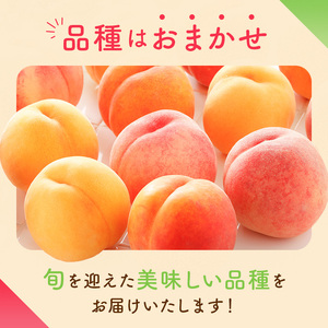 【2026年出荷分先行予約】福島県産 家庭用の桃 約5kg (14～24玉) 品種おまかせ (8月出荷分) 農業生産法人種まきうさぎ株式会社 伊達市の桃 桃 フルーツ 果物 もも モモ momo F21C-084