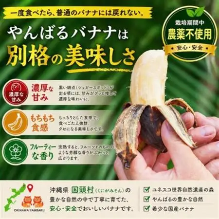 【栽培期間中農薬不使用】やんばるバナナ1.5kg(7～20本)【1579241】