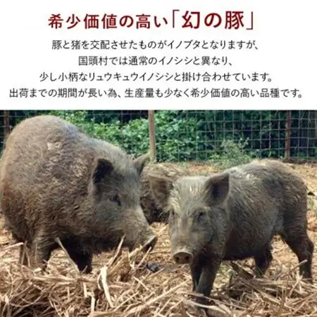国頭イノブタ ロース(スライス) 500g【配送不可地域：離島】【1580248】