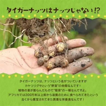 タイガーナッツ グラノーラ(カカオ＆バナナ) 10袋【1581008】