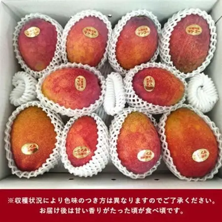【2026年6月から順次発送】優品アーウィンマンゴー5kg(8～12玉)【配送不可地域：離島】【1584603】