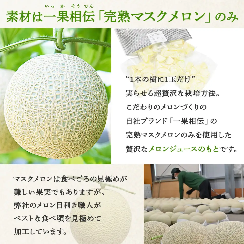 メロンジュースのもと 約800g 約165g×5パック メロン tn-0032