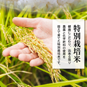 【 令和7年産 】 特別栽培米 雪若丸 計10kg ( 5kg×2袋 ) 〔2025年10月中下旬頃～順次お届け〕2025年産 産地直送 農家直送