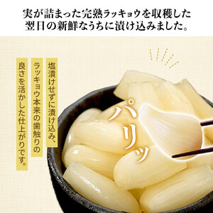 413.ラッキョウ漬け　（ビン入り：110g×2本・180g×1本　袋入り：180g×1袋）