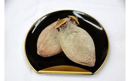 572.のし付【短冊のし　名入れ不可】あんぽ柿・ころ柿セット【化粧箱入り】合計１２個入り ※2024年11月中旬頃より順次発送予定