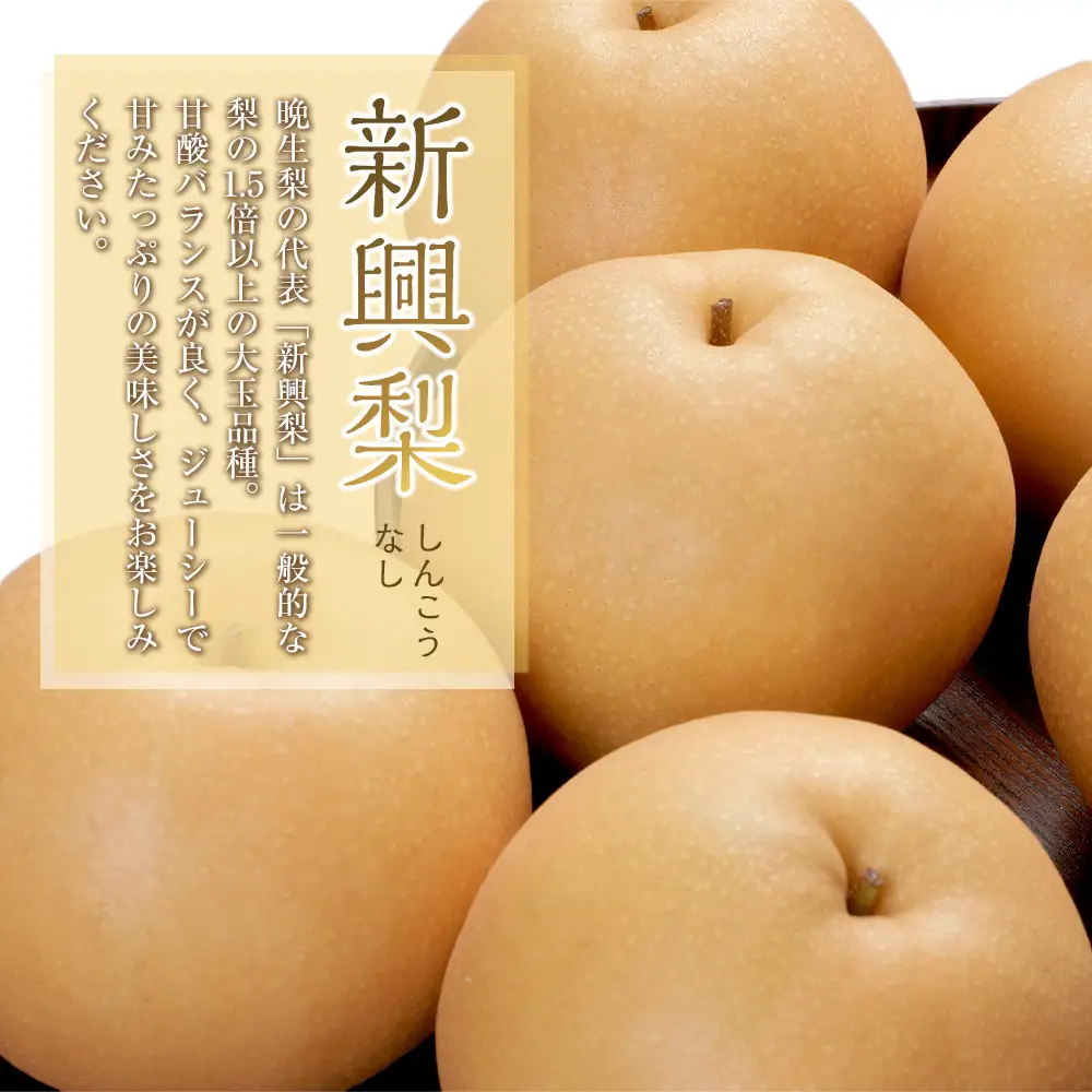 927.【先行予約】【訳あり】新興梨 4kg（4～16玉前後）≪果物 フルーツ くだもの≫　※2026年10月上旬～11月下旬頃に順次発送予定