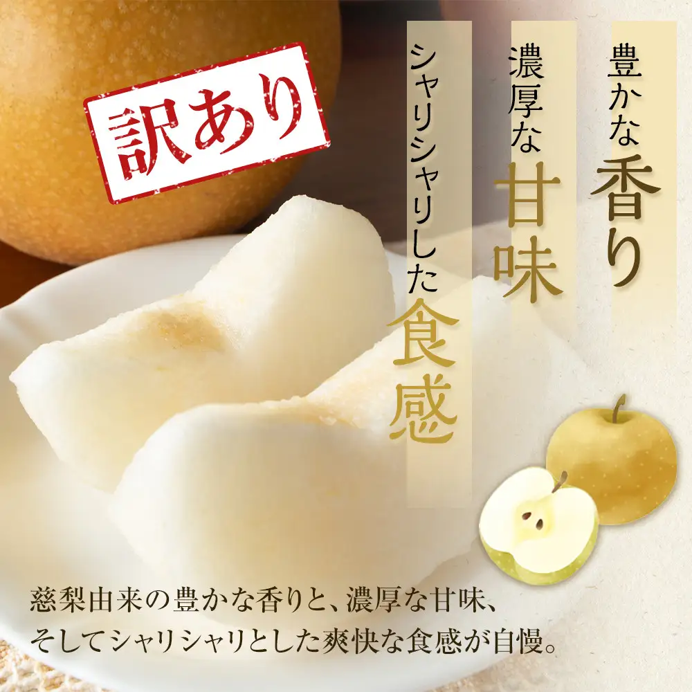 【訳あり】鳥取県産旬の梨セット4kg ※2026年8月下旬頃～12月下旬頃に順次発送予定 梨