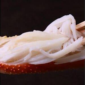 115.【蒸し】訳あり ご自宅用日本海獲れたて松葉ガニ 大　800～940g前後　２枚◇《かに カニ 蟹 ズワイガニ》※2026年11月上旬～2027年3月上旬頃に順次発送予定
