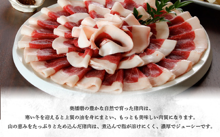 ぼたん鍋 特上500g ＋秘伝みそセット1パック 冷凍 