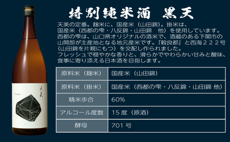 日本酒 天美2種 日本酒 ES