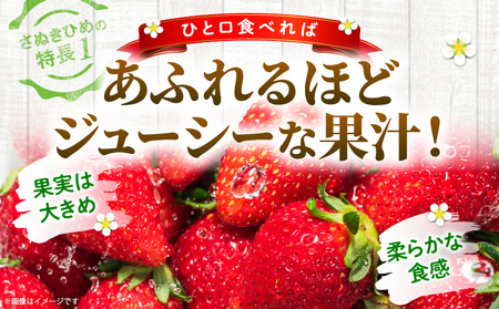 【先行受付】【年内発送】三木町地域いちご部会「さぬきひめ」約1kgDXパック | スイーツ いちご ストロベリー イチゴ さぬき姫 さぬきひめ 苺 甘い 大粒 冷蔵 フルーツ 旬 果物 香川県 デザート 青果物 贈答 プレゼント 贈り物 おすすめ |_mk006-016