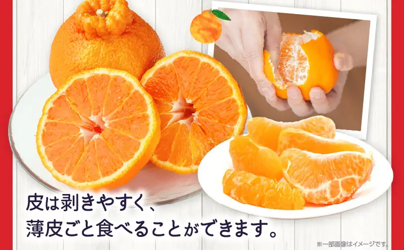 【先行予約】ハウスデコポン約2.8kg化粧箱 | デコポン 甘い 酸味 柑橘 柑橘系 果物 フルーツ 青果 デザート グルメ おすすめ 贈答 贈り物 贈答用 ギフト プレゼント 特産品 特産 取り寄せ 香川県 三木町 |_mk006-026