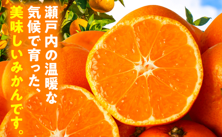 【先行受付】訳あり温州みかん約10kg（2L-2S) | みかん 温州みかん 果物 果実 訳あり 訳ありみかん 訳あり果物 訳ありフルーツ フルーツ 香川県 三木町 |_mk006-032