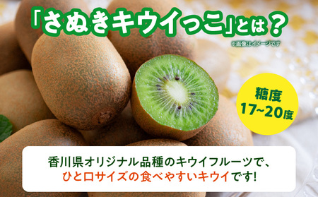 【先行予約】さぬきキウイっこ5.0kg【香川県共通返礼品】|キウイ 果物 フルーツ デザート 旬 旬の果物 季節 季節の果物 人気 おすすめ 贈り物 贈答 プレゼント ご褒美 キウイフルーツ さぬきキウイ 香川 香川県 三木町 送料無料|_mk025-003