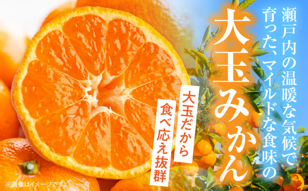 【先行受付】大玉みかん約9kg | 大玉みかん 大玉 みかん ミカン 蜜柑 オレンジ 柑橘 柑橘系 果物 フルーツ 青果 おすすめ お取り寄せ ギフト 香川県 三木町 |_mk006-036
