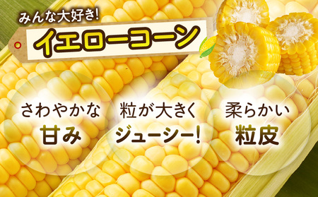三木町産　イエローコーン　約3.5kg | うもろこし 野菜 コーン イエローコーン 旬の野菜 旬 季節の野菜 季節 贈答 贈り物 ギフト プレゼント おすそ分け グルメ お取り寄せ 人気 おすすめ 特産 特産品 生鮮食品 香川県 三木町 |_mk006-040