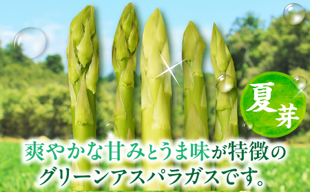 【先行受付】【夏芽】グリーンアスパラガス サイズ混合約1kg | グリーンアスパラガス アスパラガス アスパラ 夏芽 おすすめ 混合 シャキシャキ 野菜 冷蔵 新鮮 新鮮野菜 香川県 国産 三木町 おすすめ |_mk006-003