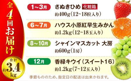さぬき旬のフルーツ大満足　4回定期便| 果物定期便 フルーツ定期便 定期便 4回 果物4回定期便 フルーツ4回定期便 4回フルーツ定期便 4回果物定期便 果物 フルーツ 青果 青果物 いちご みかん シャインマスカット キウイフルーツ さぬきひめ 小原紅早生みかん マスカット キウイ 旬の果物 季節の果物 贈答 贈り物 ギフト 化粧箱 取り寄せ グルメ 香川県 三木町 送料無料|_mk006-t008d