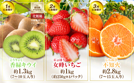 さぬき旬のフルーツ大満足　12回定期便|定期便 キウイ いちご 女峰 みかん 不知火 さぬきひめ デコポン びわ なつたより ぶどう ピオーネ シャインマスカット 大房 さぬきゴールド 小原紅早生 化粧箱 香緑 香川 毎月配送|_mk006-t009d