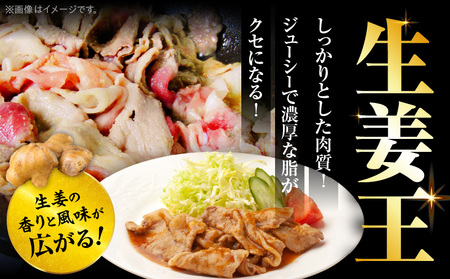 訳あり　豚生姜焼き　《生姜王》2kg盛り　秘伝のタレ漬け　焼くだけ簡単生姜焼き|肉 豚肉 生姜焼き 生姜 秘伝 タレ タレ漬け コク ジューシー 濃厚 切り落とし 冷凍 香川県 三木町 おすすめ|_mk146-197