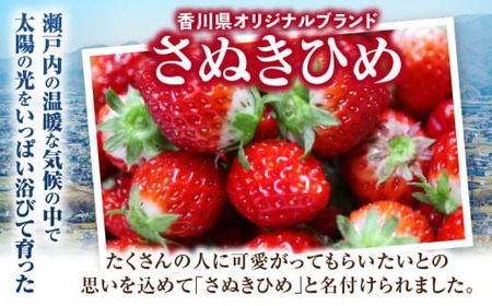 超高級大粒いちご　極甘さぬき姫260g×4パック(ハンモックトレー) | いちご 大粒 高級 さぬき姫 果物 フルーツ おすすめ 旬 イチゴ 季節 旬の果物 ギフト パック 果実 贈り物 デザート 人気 果肉 生鮮食品 国産 冷蔵 香川県 三木町 |_mk165-003
