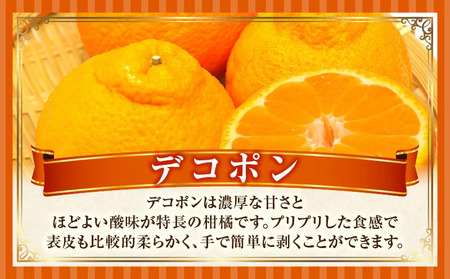 デコポン(ハウス)　化粧箱2.7kg | デコポン みかん フルーツ 果物 旬 柑橘 デザート お裾分け 旬 旬の果物 おすすめ 人気 デザート 生鮮食品 果実 お取り寄せ 贈答用  贈り物 柑橘類 季節 季節の果物 柑橘系 香川県 三木町 |_mk165-006