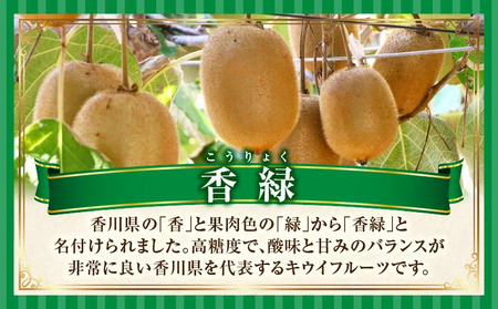 キウイフルーツ(香緑)　1.2kg | キウイ フルーツ 果物 旬 旬の果物 キウイフルーツ デザート 生鮮食品 贈り物 贈答 お裾分け おすすめ 人気 ギフト グルメ 特産品 果肉 季節 季節の果物 香川県 三木町 |_mk165-012
