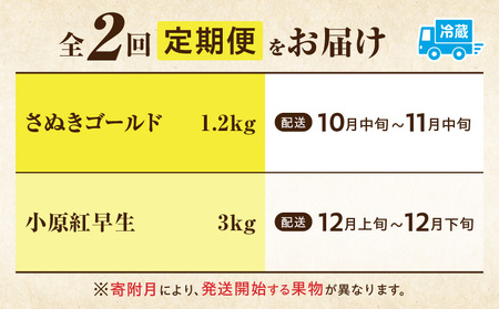 季節の恵み2回定期便H | 果物 フルーツ 定期便 果物定期便 フルーツ定期便 果実 旬 旬の果物 旬のフルーツ 旬の果物定期便 旬の定期便 デザート スイーツ 果汁 ご褒美 贈答 贈り物 キウイ ゴールドキウイ キウイフルーツ みかん 香川県 三木町 | _mk165-t008