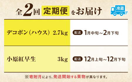 季節の恵み2回定期便K | 果物 フルーツ 定期便 定期 果物定期便 フルーツ定期便 旬の果物 旬のフルーツ 旬の定期便 人気 おすすめ 厳選 ギフト 贈り物 贈答 デコポン みかん 果実 果汁 デザート スイーツ 香川県 三木町 |_mk165-t011